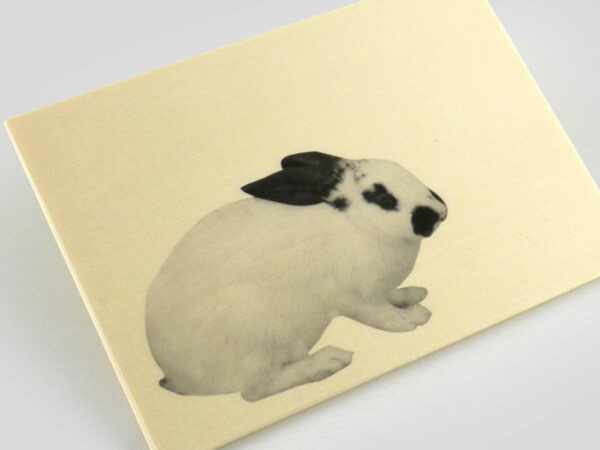 Wood postcard