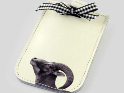 Smartphone cases