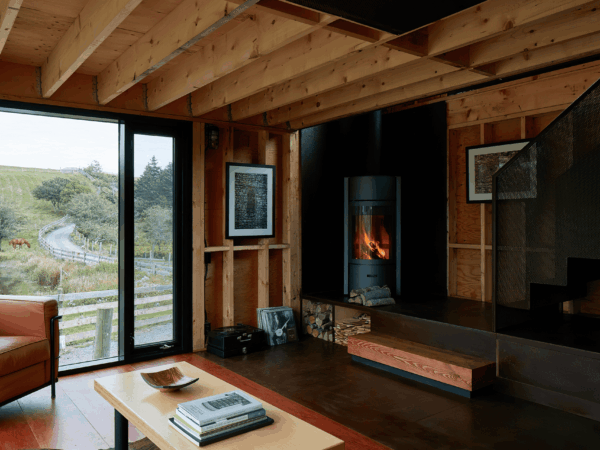 living-room-with-fireplace-wood-burning-stove